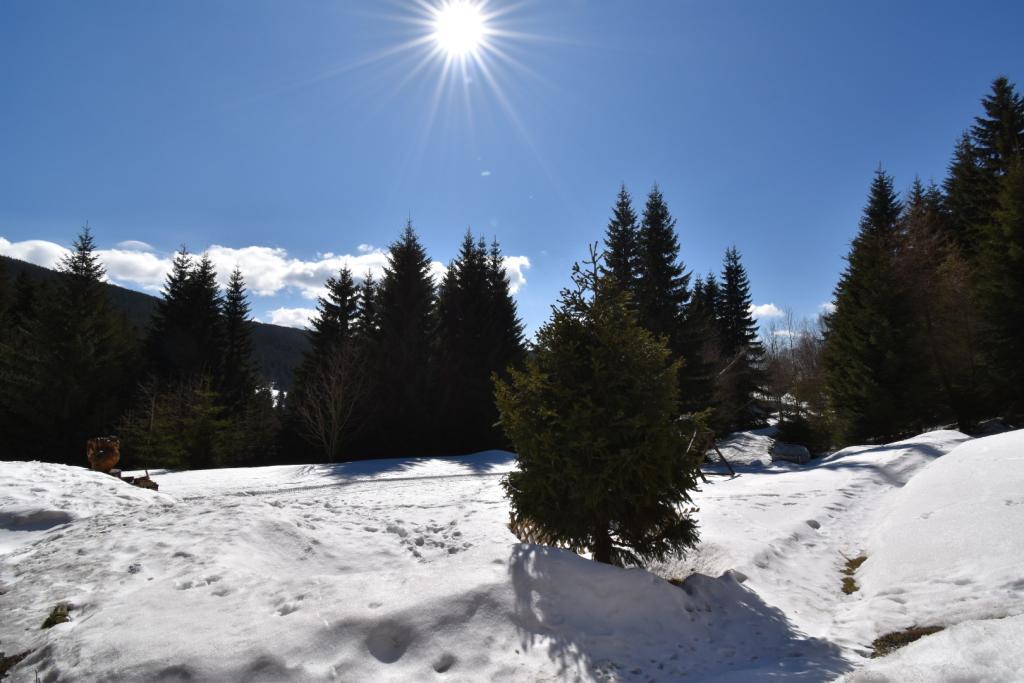 Horská chata U Kokrháče Dolní Malá Úpa Exteriér fotografie